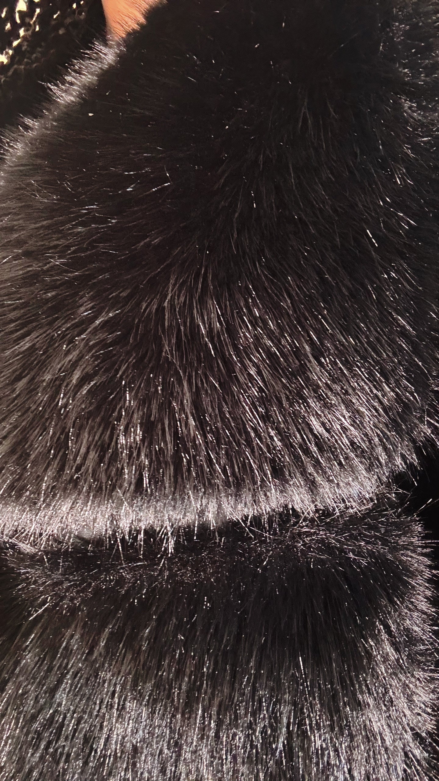 Close-up of black fur texture
